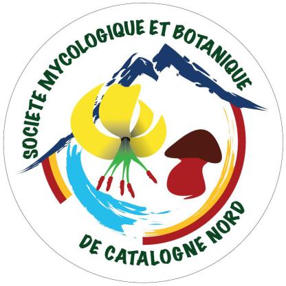 logo smbcn
